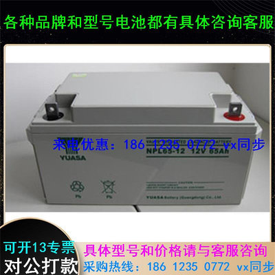 日本汤浅蓄电池 NPL100-12 12V100AH免维护长寿命电源