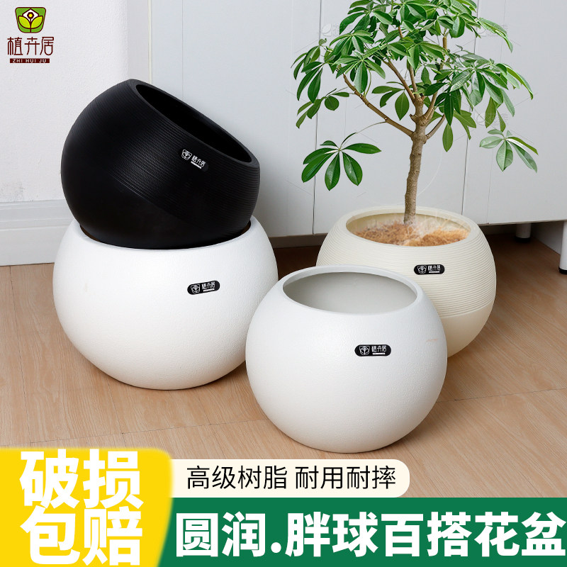 植卉居简约现代仿水泥大号树脂花盆家用客厅天堂鸟橡皮树绿植花盆,鲜花速递/花卉仿真/绿植园艺,花盆,淘宝优惠券,粉丝福利购,淘宝优惠卷