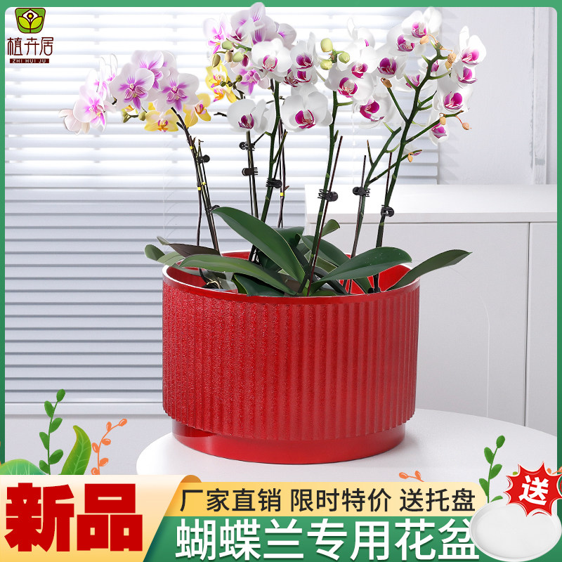 北欧蝴蝶兰塑料花盆客厅室内耐用简约加厚有孔大口径盆栽绿植摆件,鲜花速递/花卉仿真/绿植园艺,花盆,淘宝优惠券,粉丝福利购,淘宝优惠卷