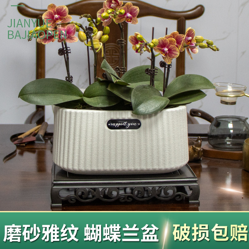 北欧简约塑料花盆矮款室内发财树郁金香蝴蝶兰吊兰创意盆绿植花盆,鲜花速递/花卉仿真/绿植园艺,花盆,淘宝优惠券,粉丝福利购,淘宝优惠卷