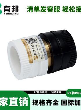 PE转PPR铜转换接头25双熔20热熔32PB63水管配件管材PRET不锈钢4分