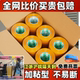 厂家大卷电商快递高粘性不易断打包封箱包装 透明胶带胶布整箱批发