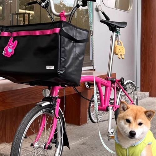 镜子动物园小布自行车多色可拆卸折叠菜篮子斜挎大号防水车头包