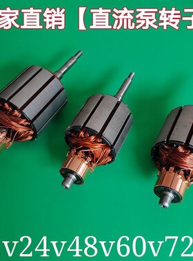 潜水泵转子直流配件12V24V48V60V72伏两用通Q用一二寸铜线电机线