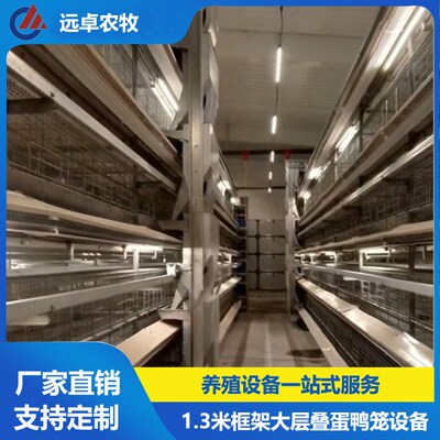 大层叠蛋鸭笼养鸭设备 广西w北海四层H型框架式自动化蛋鸭蛋鸡笼