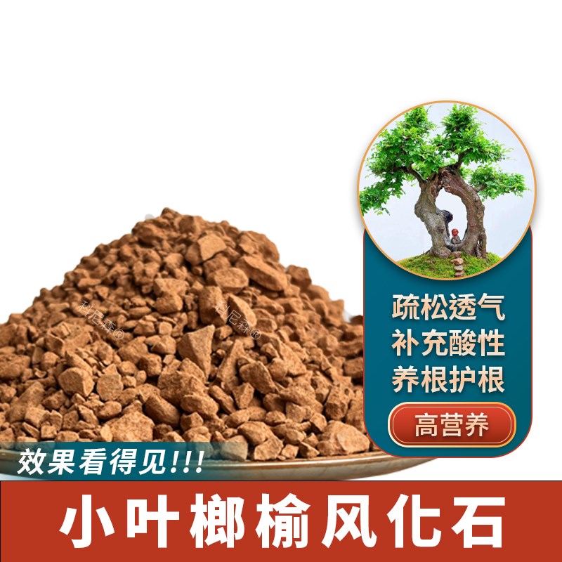 榆树土小叶榔榆专用土天然风化土颗粒J土酸性土盆景土盆栽种植土