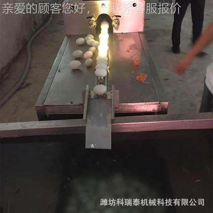 破纹蛋裂蛋光检检测泥机 小型品清蛋洗去VRF去粪机 快速洗蛋机