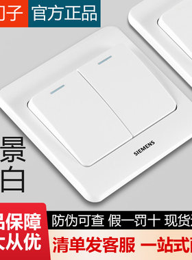 西门子远景白开关插座假一罚十