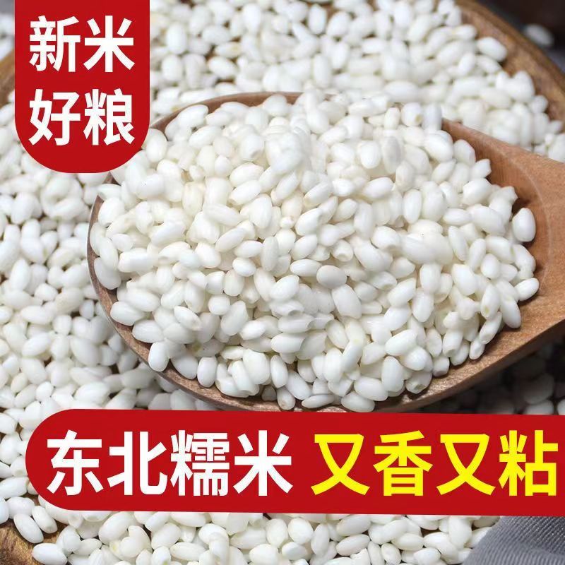东北圆糯米5斤新鲜直达白糯米江米散装酿包粽子米当季新米圆粒