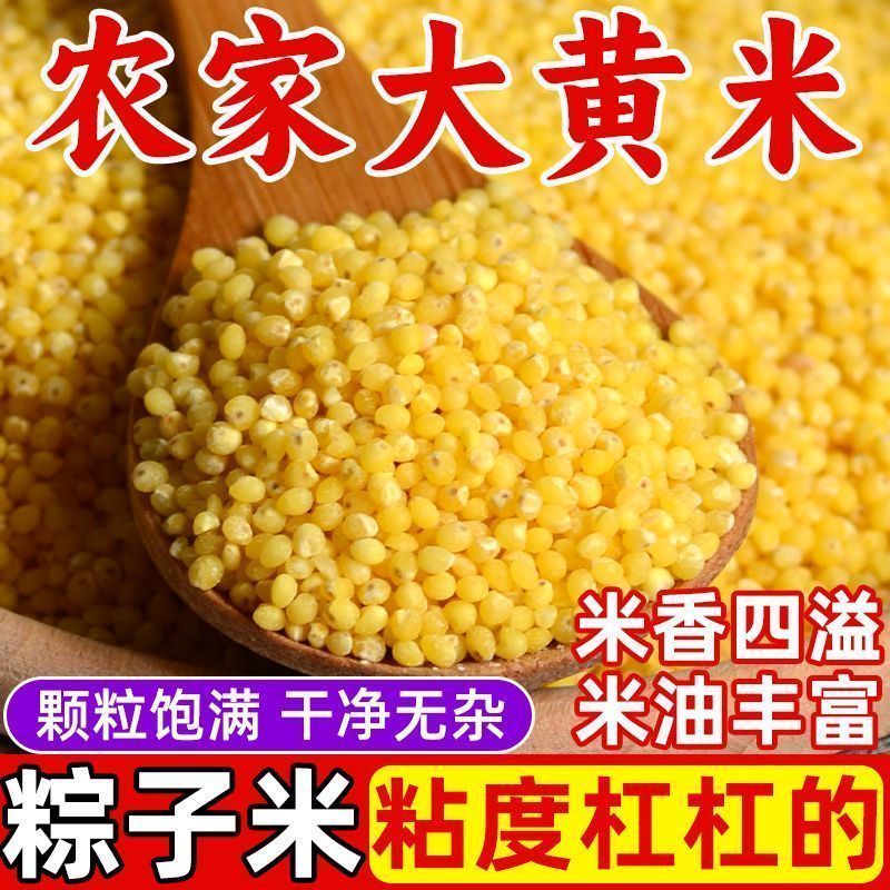 5斤粘糯大黄米粘米黍米新鲜大黄米当季新米粽子煮粥半斤批发便宜