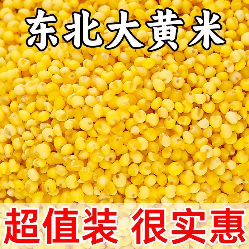 当季新粘糯大黄米农家东北新大黄米黍子米黄粘米年糕粽子正宗黄米