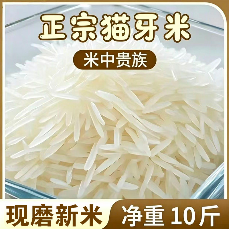 农家新米长粒香产地直供猫牙米当季现磨象牙米煮饭清香不沾连大米