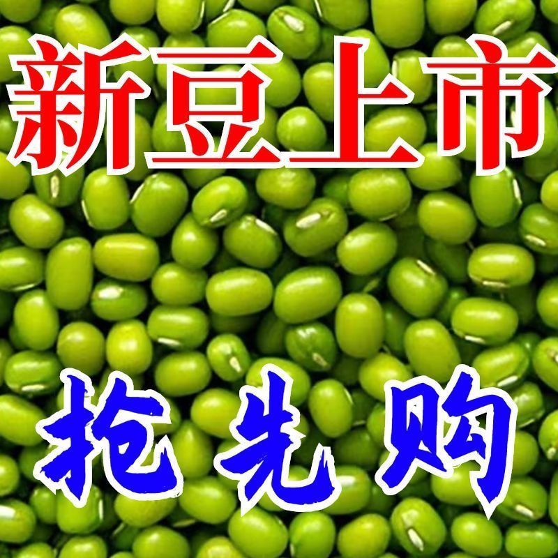 东北农家新绿豆可发豆芽解暑