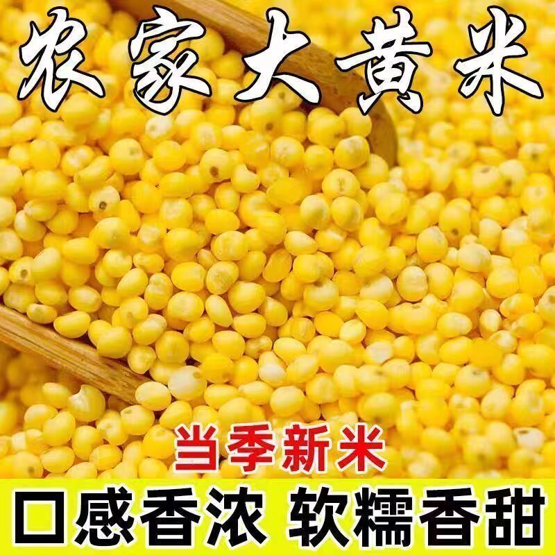 正宗粘糯大黄米新大黄米黍子米新鲜煮粥粽子米糯小米粗粮新鲜净重