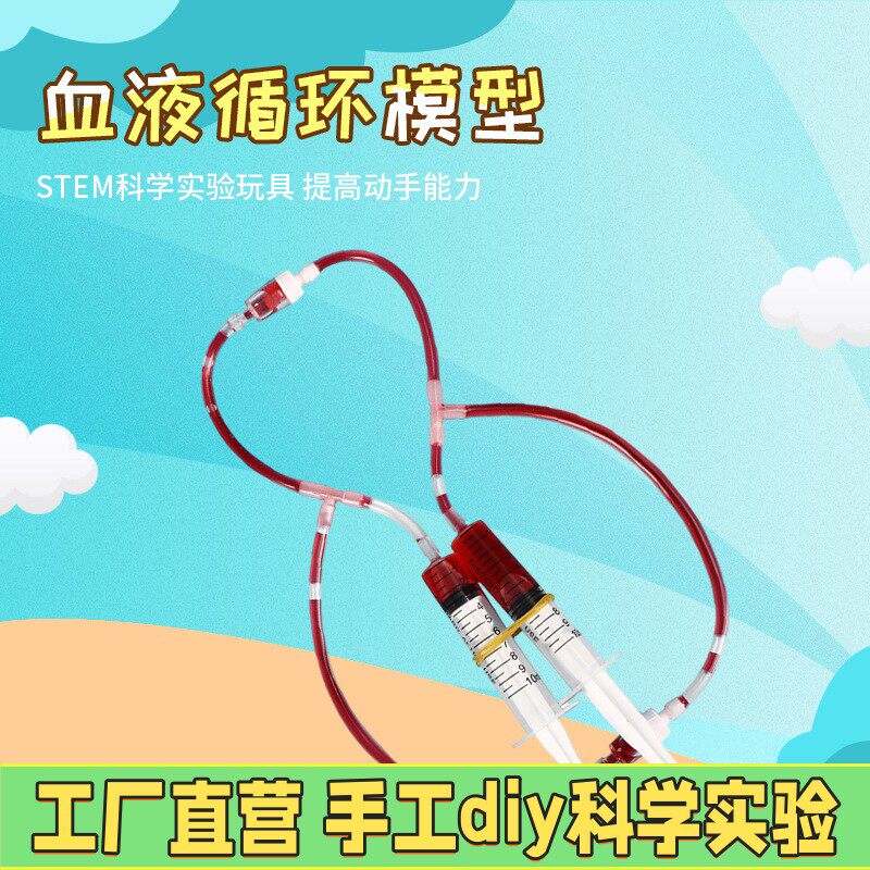 diy幼儿园小学创意科技小制作人体血液循环模型实验手工材料包X81