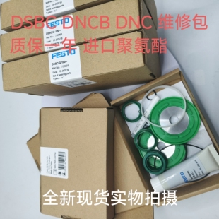 FESTO气缸密封维修包DNC/DSBC/G-32-40-50-63-80-100-125-PPV-A