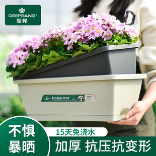 阳台种菜盆塑料花盆长方形家庭室内种菜神器长条盆蔬菜.种植专用