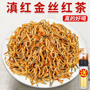 2025新茶云南凤庆金丝古树滇红茶特级浓蜜香型金芽金针袋装散茶叶