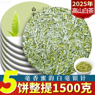 白毫银针2025福鼎新茶福建宁德春茶高山古树白茶饼白茶大白毫茶叶