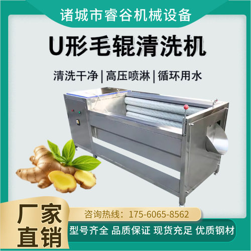 生姜清洗机红薯芋头莲藕毛辊清洗去皮机木薯洋葱黄姜清洗分拣设备