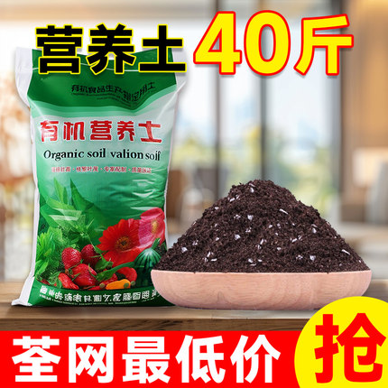 优质营养土养花种菜育苗通用疏松透气多肉绿植盆栽专用有机黑土壤