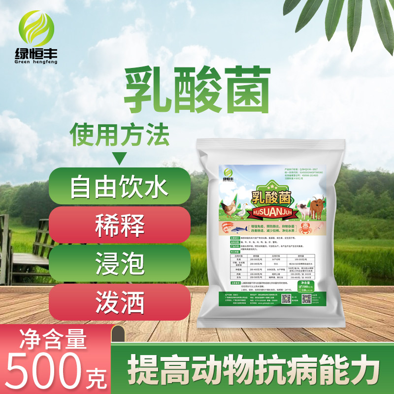 乳酸菌家禽水产养殖净化水质用调水质改良剂净水粪链球菌