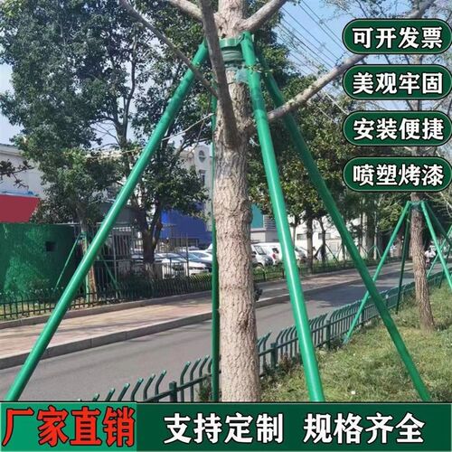 树木支撑架大树防风园林绿化支架树苗固定器镀锌钢管树木支撑杆