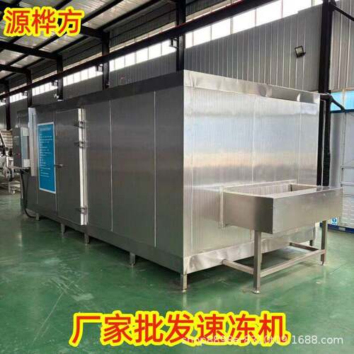 商用IQF急速冷冻设备 豇豆深加工生产线 枇杷果肉速冻机器