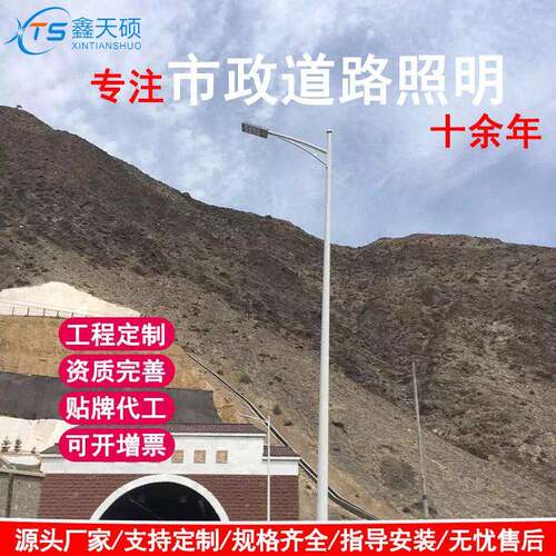 厂家LED双臂杆模组路灯户外市政小区工程庭院灯道路照明