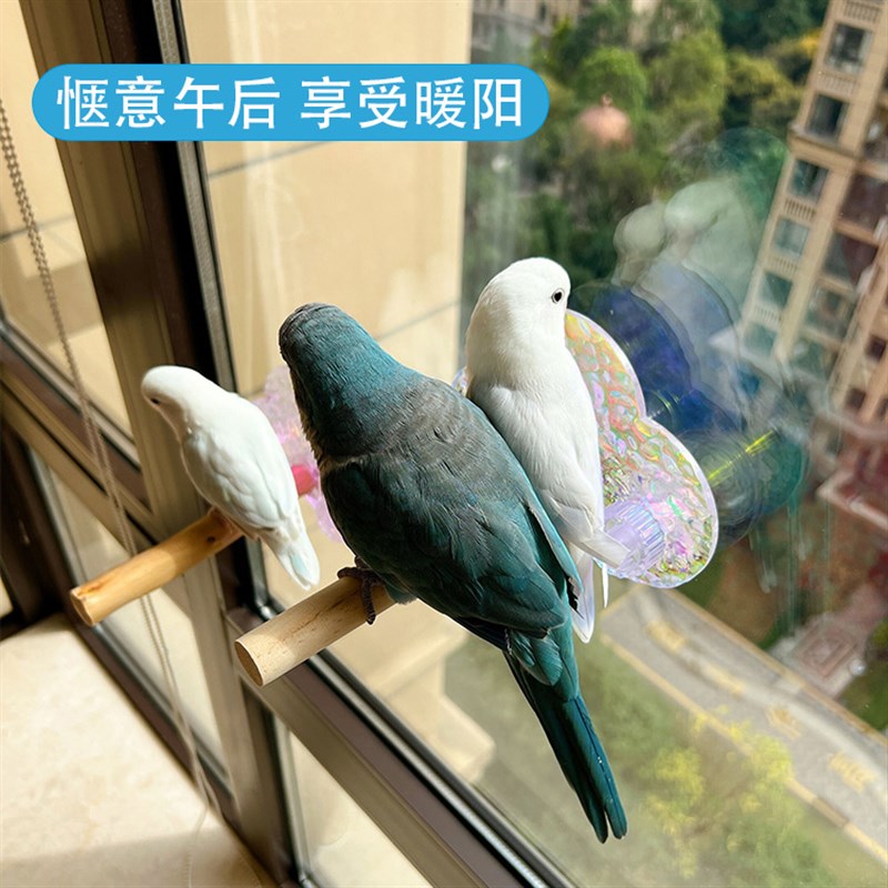 鹦鹉空中祥云站架天然磨爪棒虎皮玄凤牡丹洗澡鸟站杆吸盘鸟用玩具