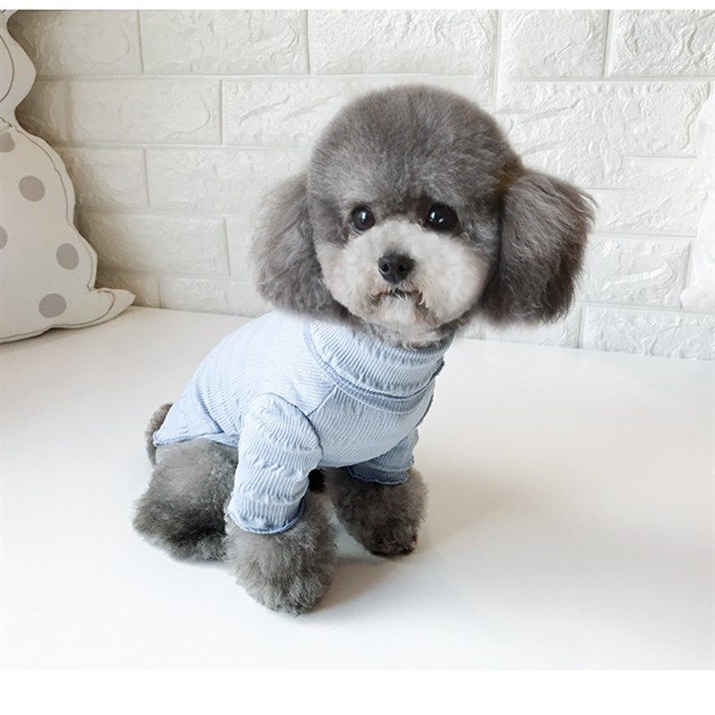 简单款打底衫 春夏宠物狗狗打底衣服泰迪猫咪两脚博美单穿夏透气