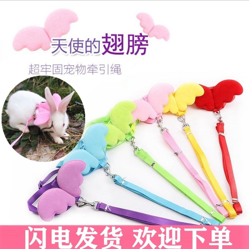 兔子牵引绳兔兔绳子用品衣服链子小宠物遛兔绳溜兔绳背心式防挣脱,宠物/宠物食品及用品,兔绳,淘宝优惠券,粉丝福利购,淘宝优惠卷