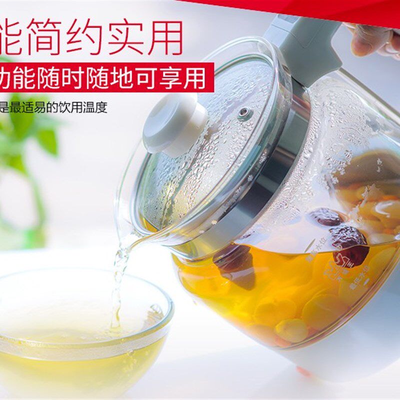 加厚全玻璃养生壶一体式多功能全自动电水煮茶熬药煲汤桦树茸药膳