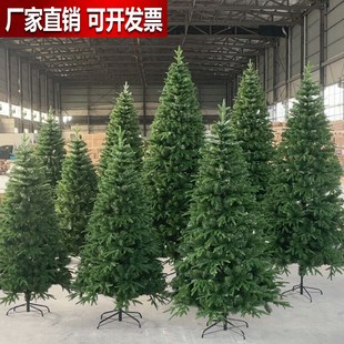 圣诞树家用大型加密1.5米场景装 饰树摆件 饰圣诞节绿色1.8 2.1米装