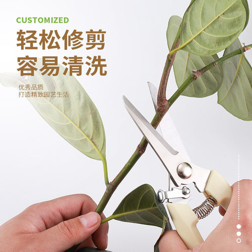 剪枝剪刀不锈钢修枝剪采摘水果花木树枝剪园林果树花卉枝园艺工具