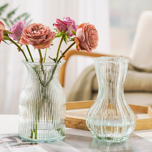 创意北欧风玻璃花瓶网红水养绿植鲜花插花瓶桌面摆件 两件套