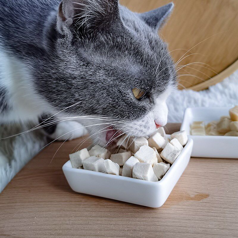 冻干鸡肉粒鸡胸肉宠物猫咪零食狗狗小肉干500g桶装营养条猫粮用品