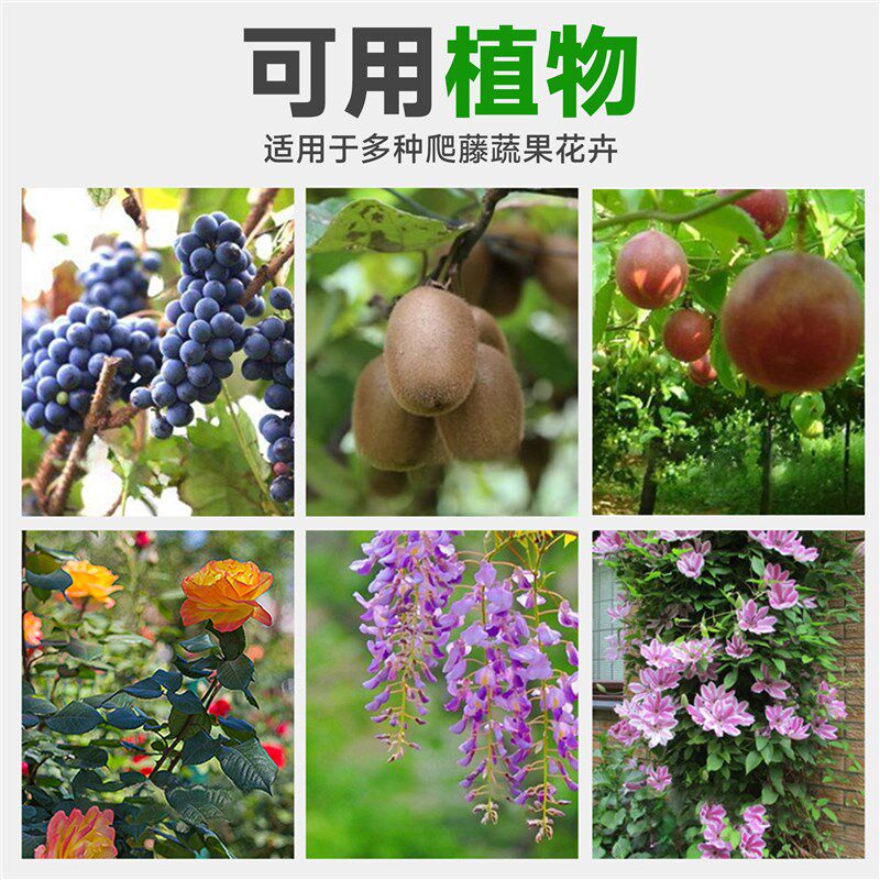 葡萄架爬藤架月季蔷薇花架植物花卉支架庭院户外包塑钢管铁艺架子