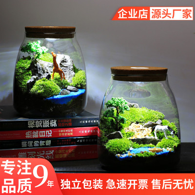带灯苔藓水滴瓶绿植物微景观生态瓶 室内桌面趣味微型创意DIY盆栽