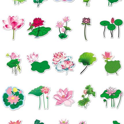 50张荷叶荷花行李箱贴纸滑板车创意防水旅行箱电脑装饰贴纸笔记本