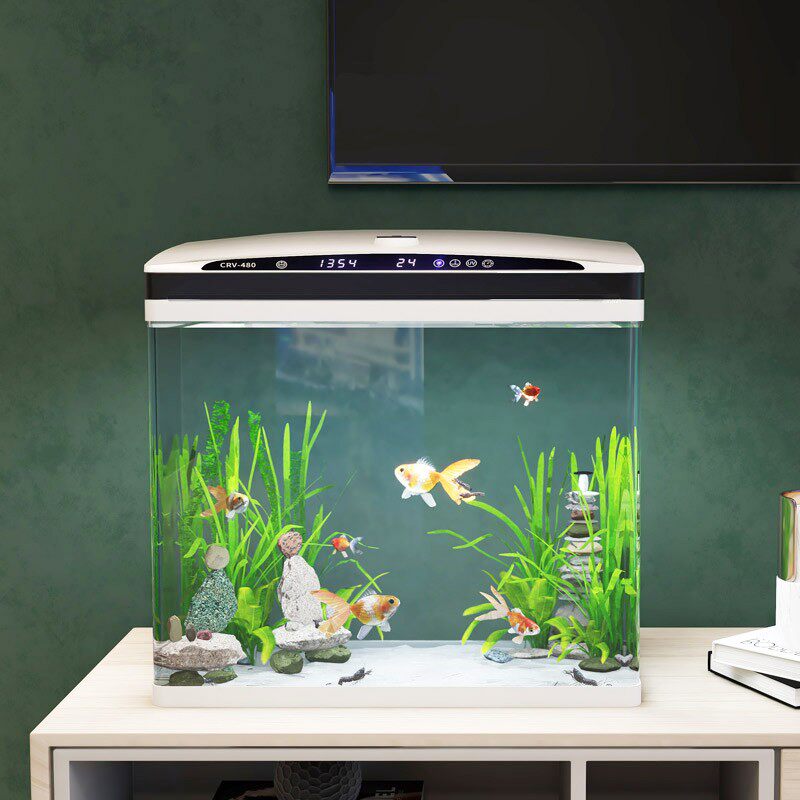 鱼缸水族箱懒人免换水自循环生态鱼缸小型桌面客厅增氧机小金鱼缸