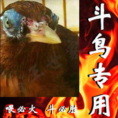 画眉鸟饲料斗鸟专用提性上火独霸战神手工秘制小颗粒鸟食补钙鸟粮