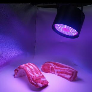 導(dǎo)軌道led生鮮燈豬肉燈冷v鮮肉海鮮熟食超市商場專用燈具超亮吊燈