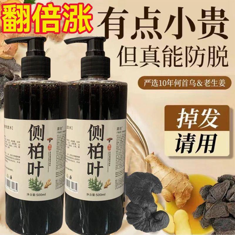 生姜侧柏叶洗发水防脱生育发正品牌官方控油蓬松去屑止痒洗头膏