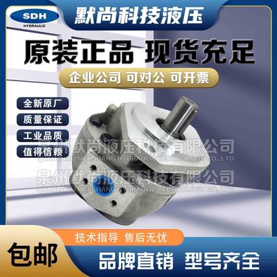 大众SDH齿轮泵CBF-E10/E16/E18/E25/E32/E40/E50LP8液压油泵总成