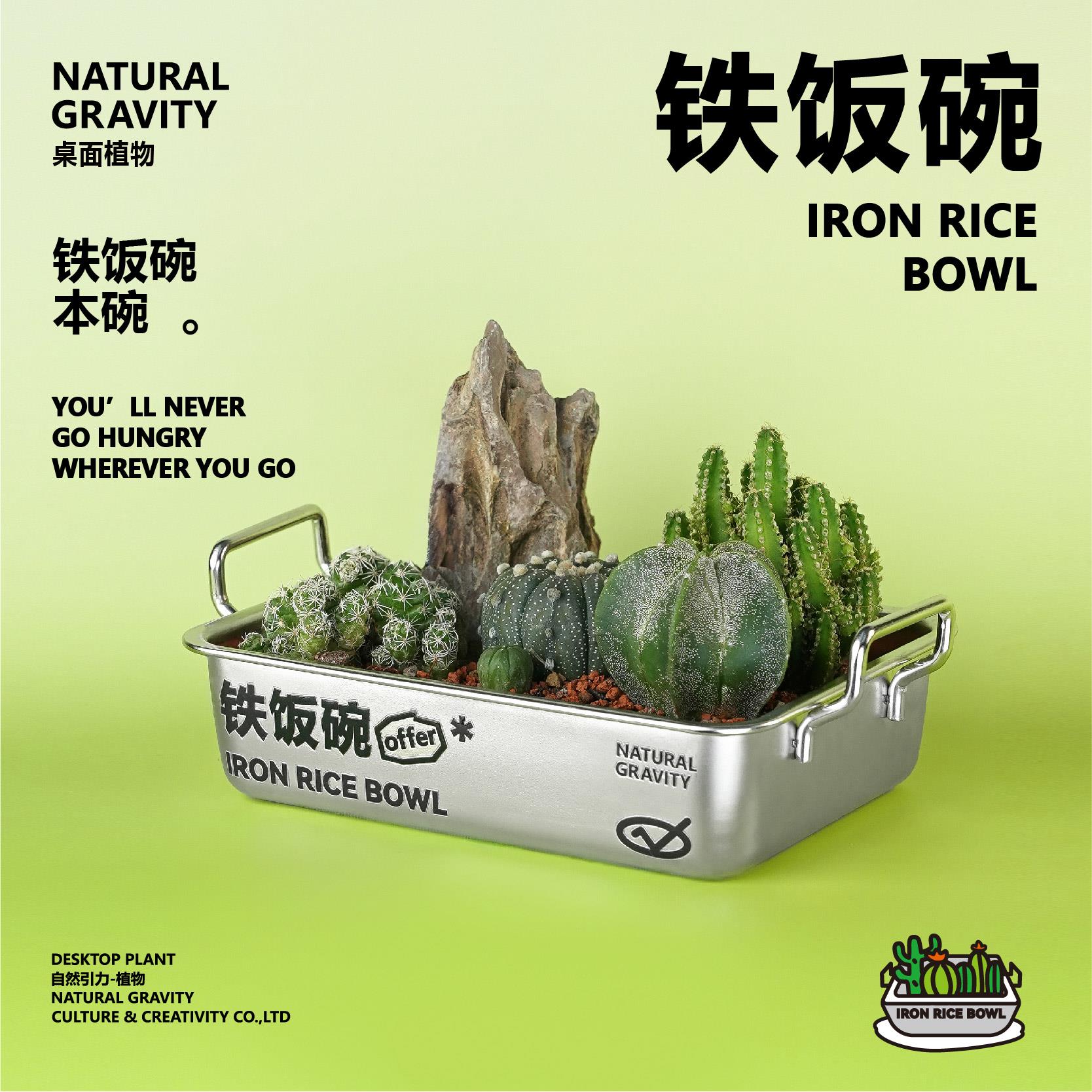 自然引力-铁饭碗仙人掌植物组合盆栽创意毕业礼物好养绿植小礼品