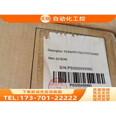 P2/KKPPP/TNU/TF/KTV/0400 WILDEN威尔顿 气动隔膜泵【议价】