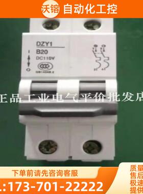 正品 DZY1 B20 2P  DC110V 东牧直流断路器 空气开关【议价】