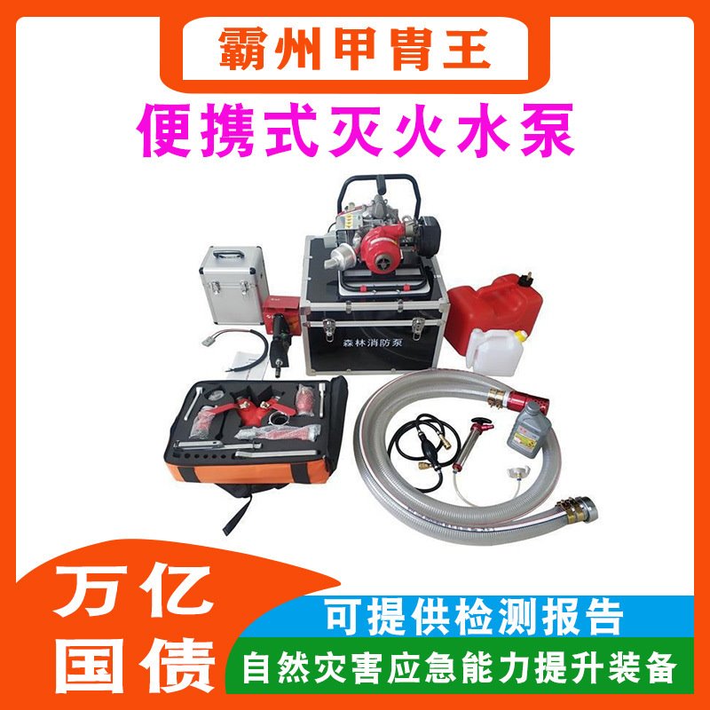 万亿国债自然灾害提升森林（草原）火灾扑救装备便携式灭火水泵