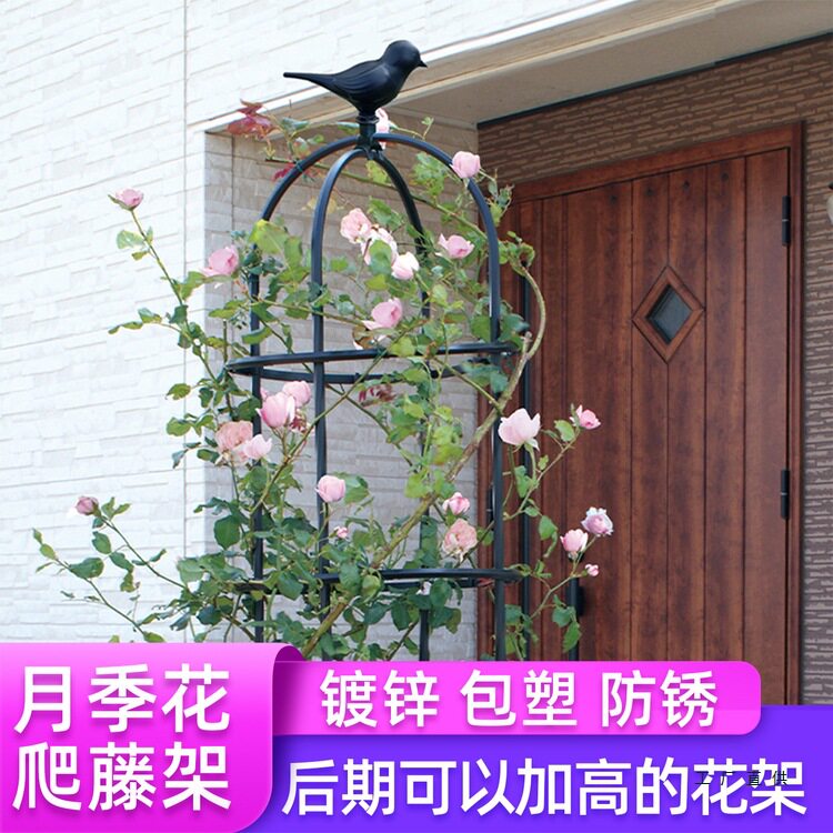 玫瑰爬藤架月季铁线莲阳台庭院绿植铁艺花架户外攀爬欧式植物架子